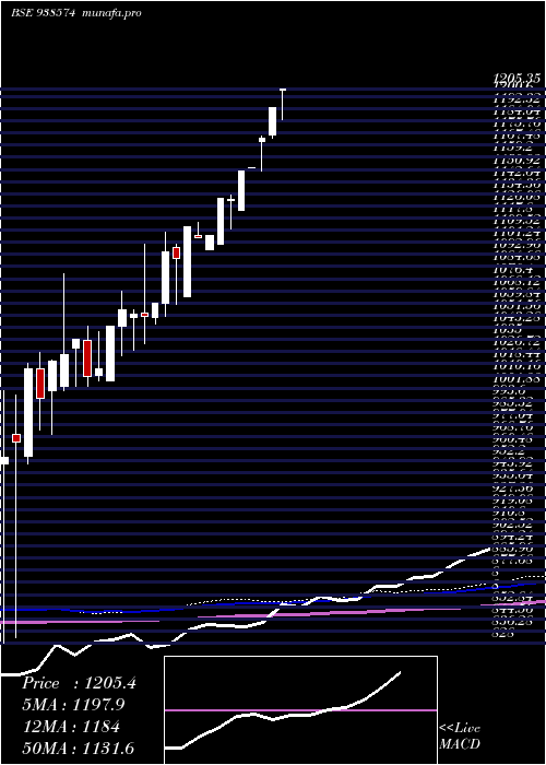  monthly chart Mfl020523