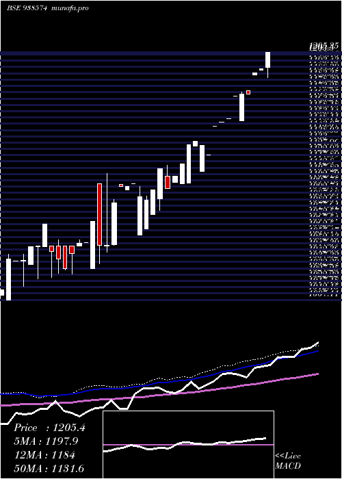  weekly chart Mfl020523