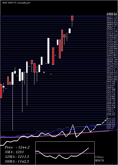  monthly chart Mfl020523b