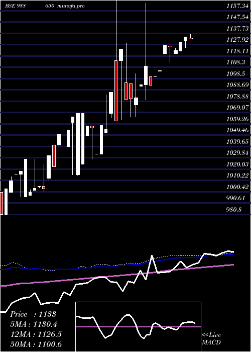  weekly chart Efsl210723