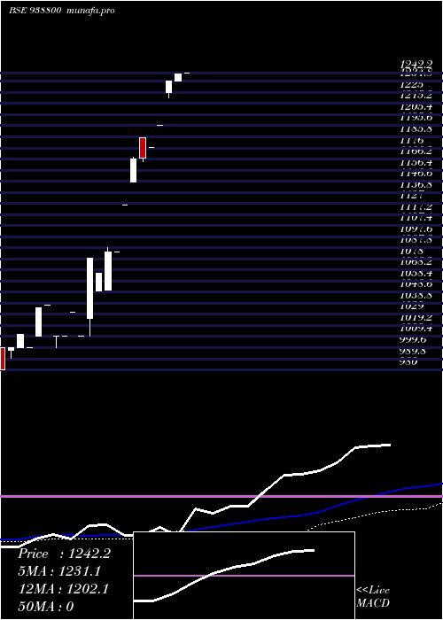  monthly chart Mfl20923a