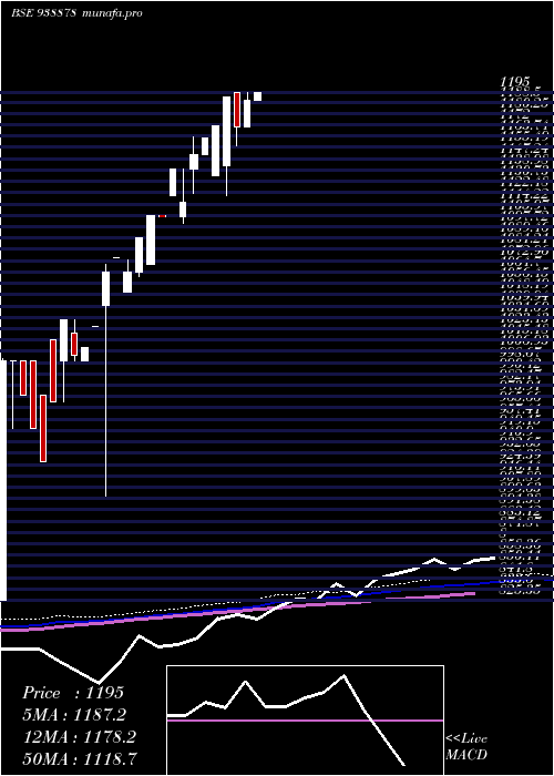  monthly chart Mfl041023