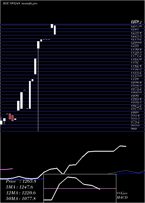  monthly chart 0mfl29