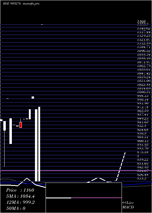  weekly chart 1025sfl29