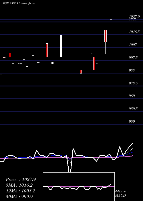Daily chart 1040nfl26