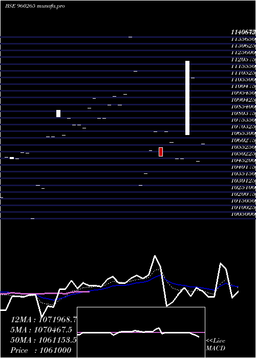  Daily chart 975tmfperp