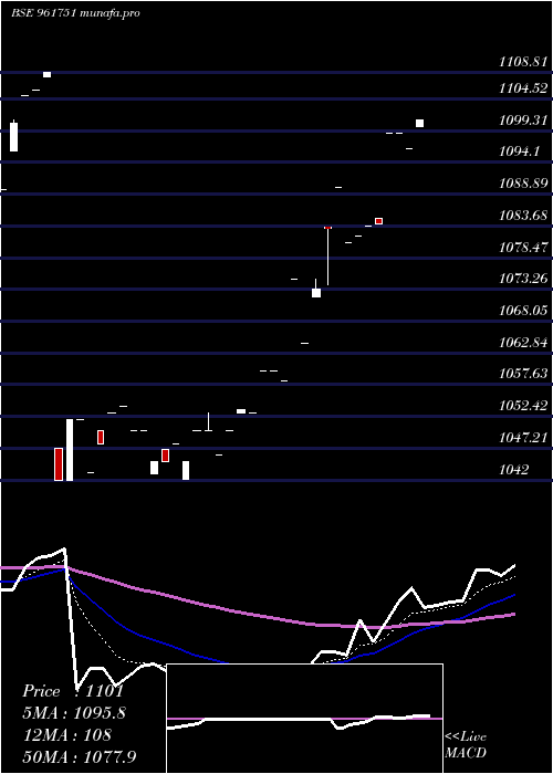 Daily chart 736pfc2028