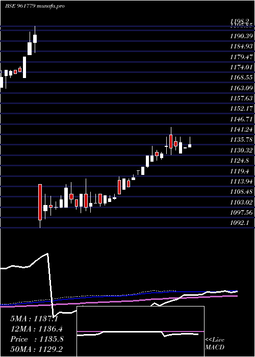 weekly chart 871rec28