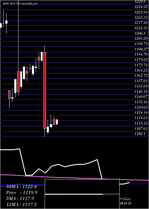  monthly chart 876hudco28