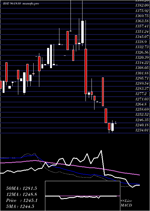  weekly chart 891ntpc33