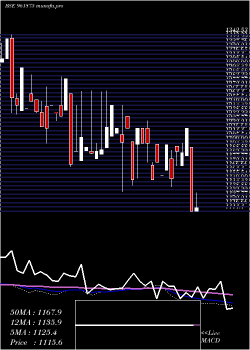  monthly chart 888rec29