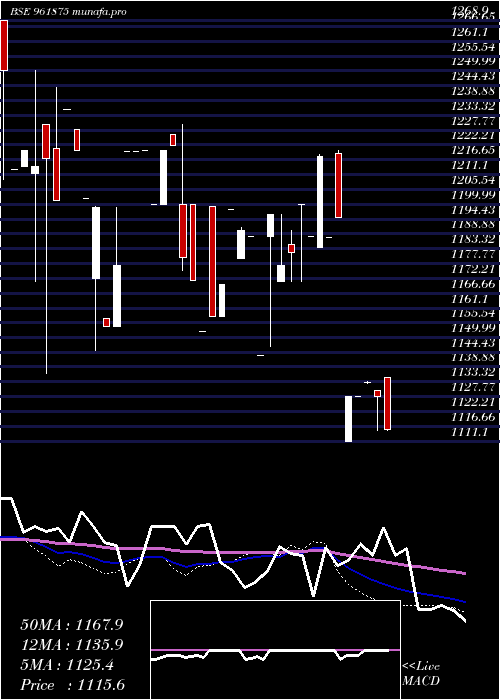  weekly chart 888rec29