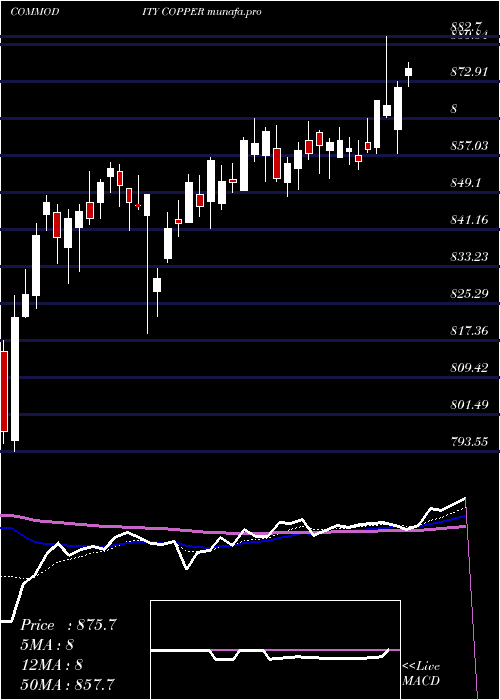  Daily chart CopperTamba