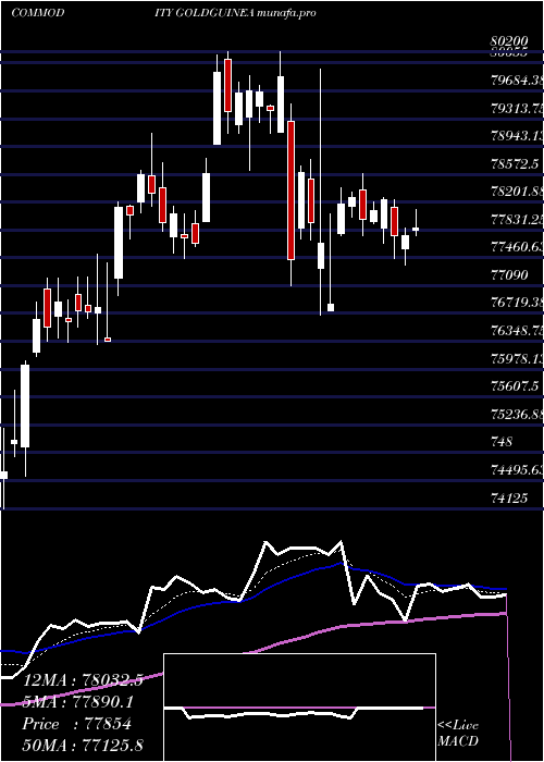 Daily chart GoldGuinea