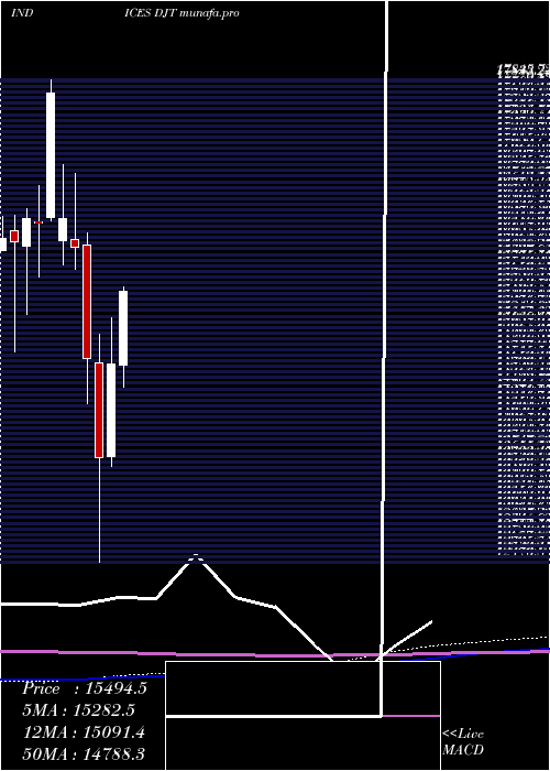 monthly chart DjTransport