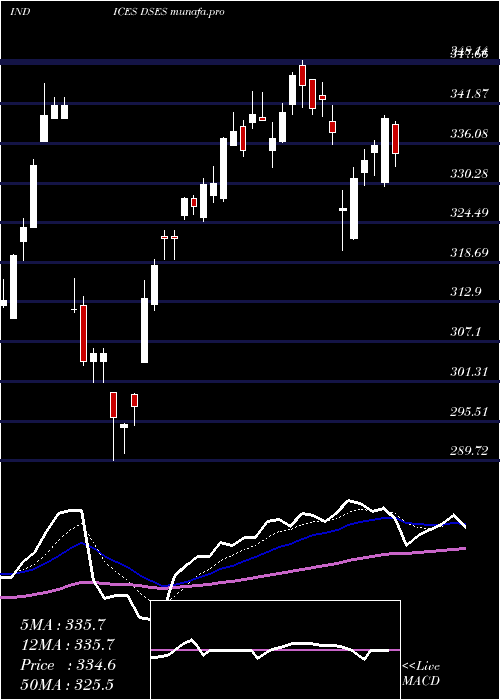  Daily chart US