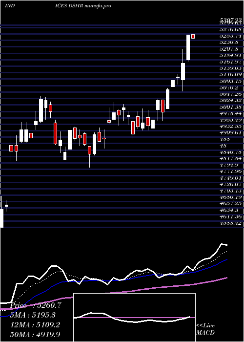 Daily chart DjUs