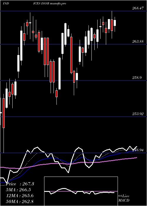 Daily chart US