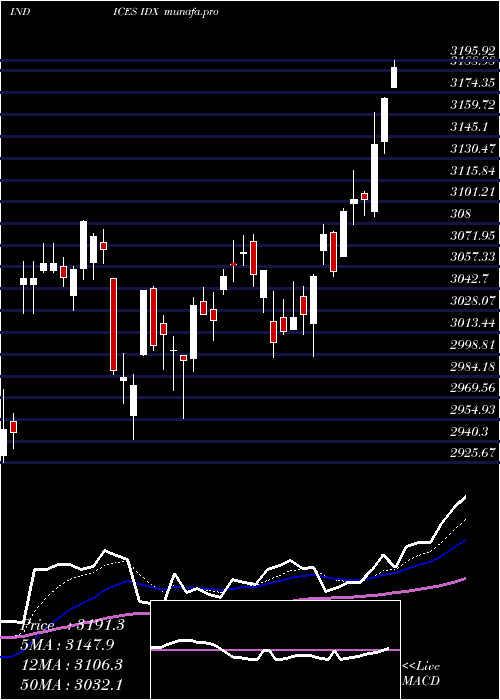 Daily chart SP