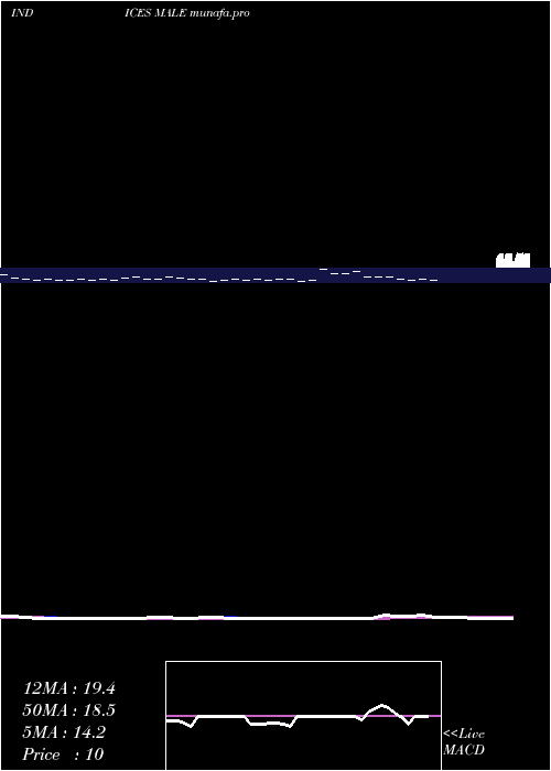  Daily chart 12Month