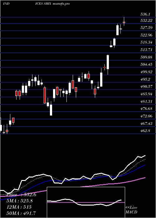 Daily chart SP