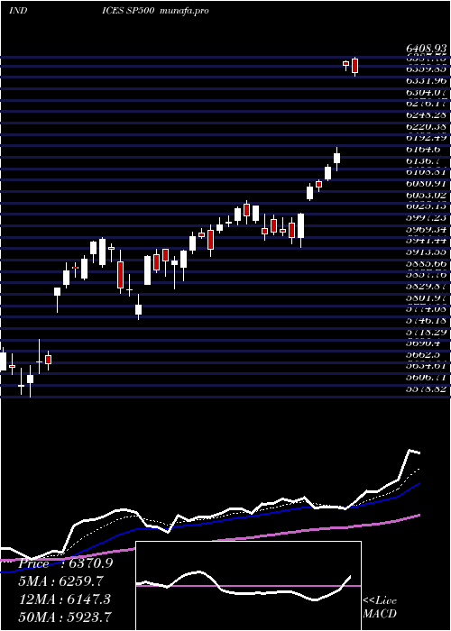 Daily chart SP