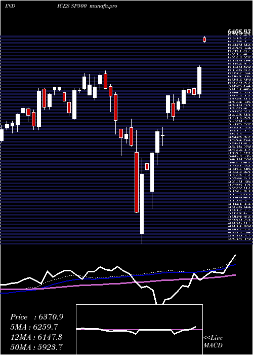  weekly chart SP