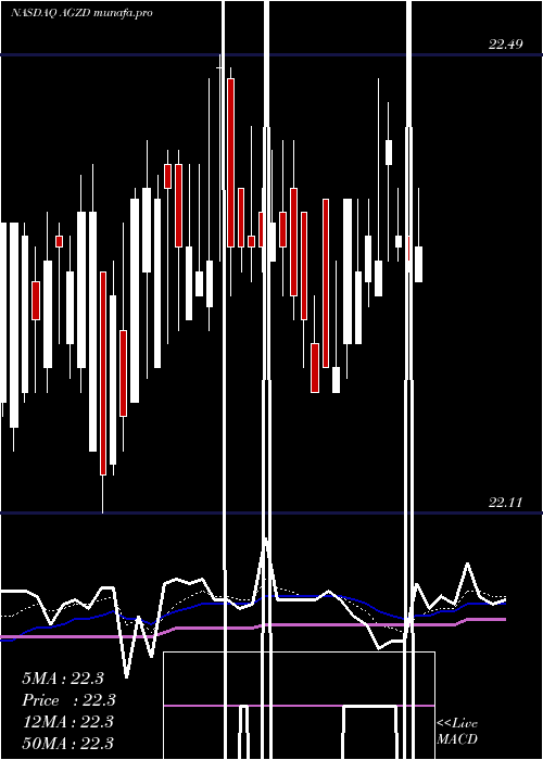  Daily chart WisdomtreeInterest