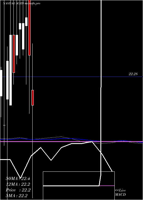  monthly chart WisdomtreeInterest