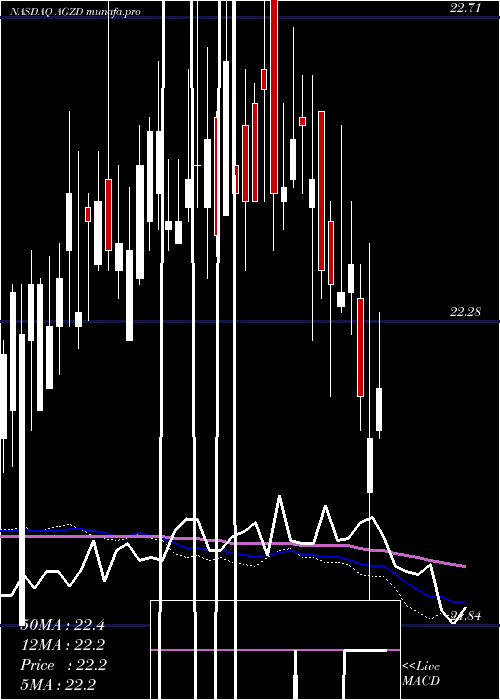  weekly chart WisdomtreeInterest