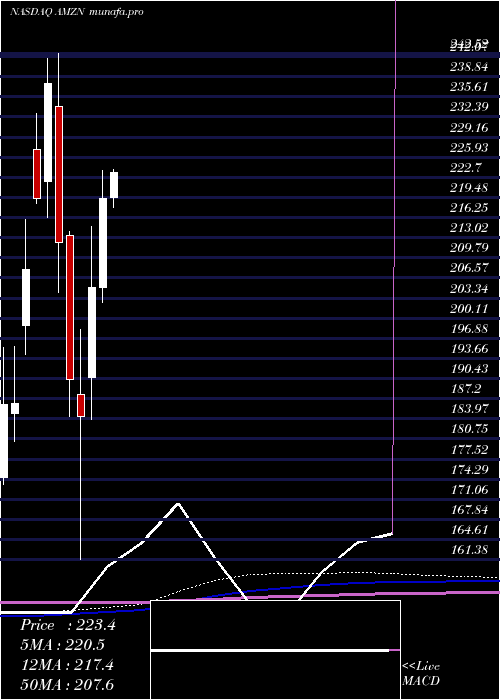  monthly chart AmazonCom