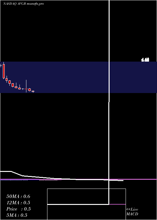  monthly chart AvingerInc