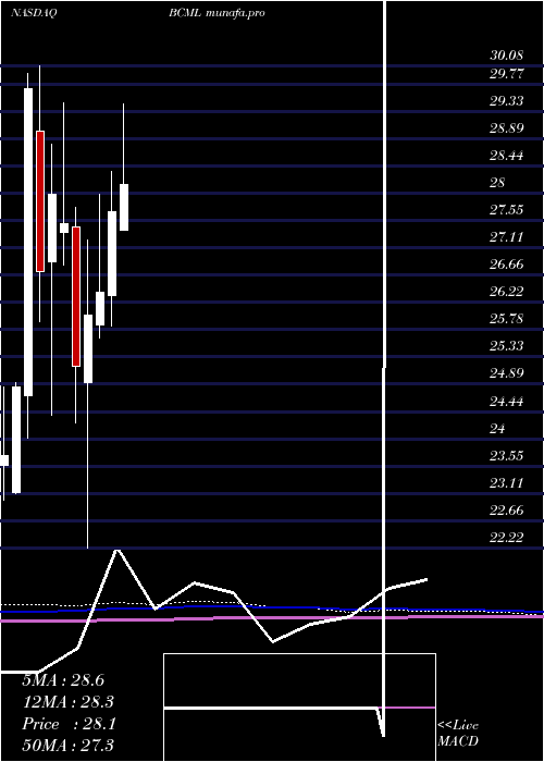 monthly chart BaycomCorp