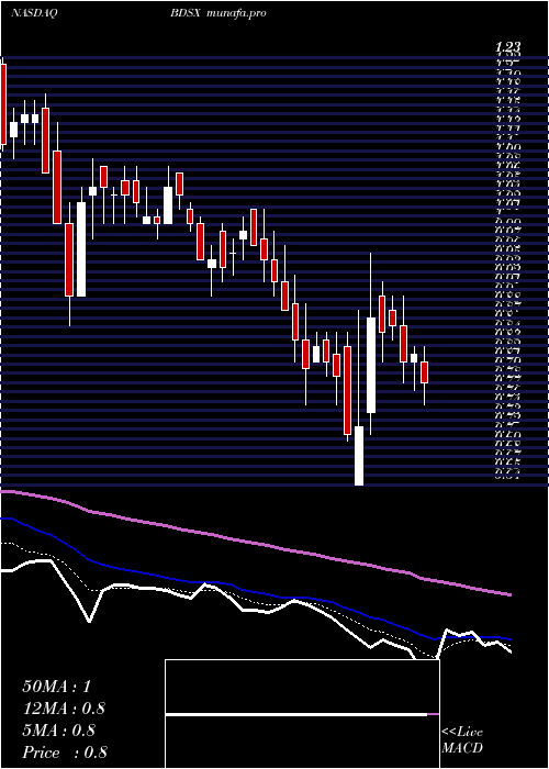  Daily chart BiodesixInc