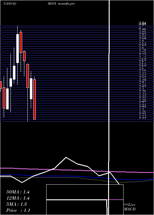  monthly chart BiodesixInc