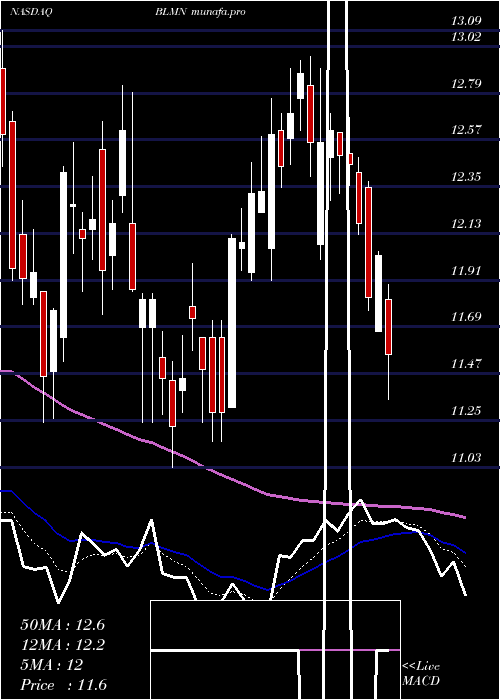  Daily chart BloominBrands