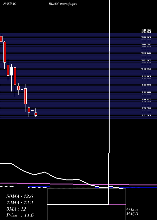  monthly chart BloominBrands