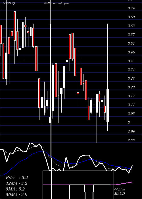  Daily chart BiomericaInc