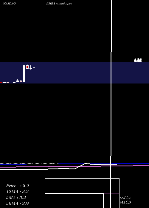  monthly chart BiomericaInc