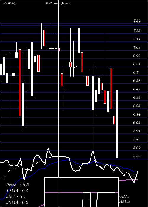  Daily chart BurningRock