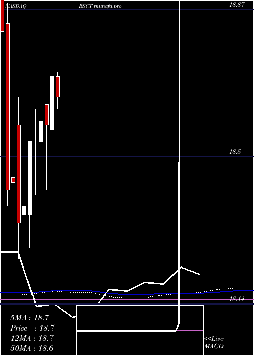 monthly chart Bs2029