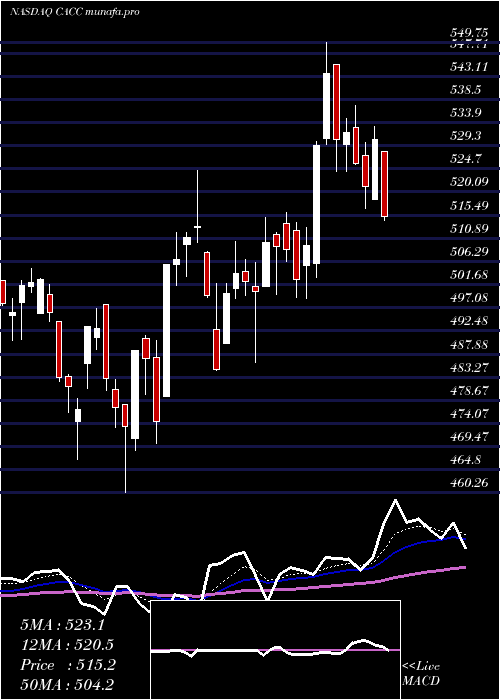  Daily chart CreditAcceptance