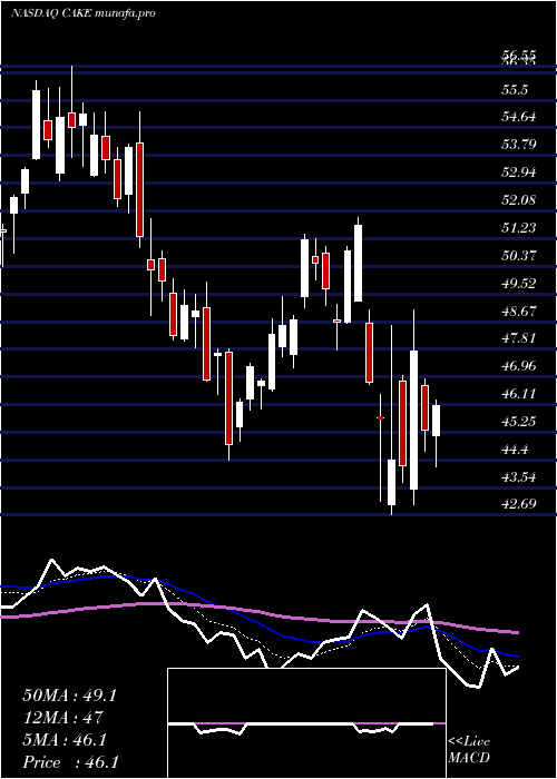  Daily chart CheesecakeFactory