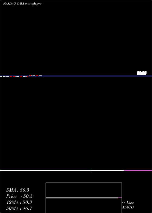  monthly chart ChinaAuto