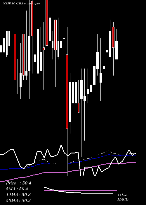weekly chart ChinaAuto