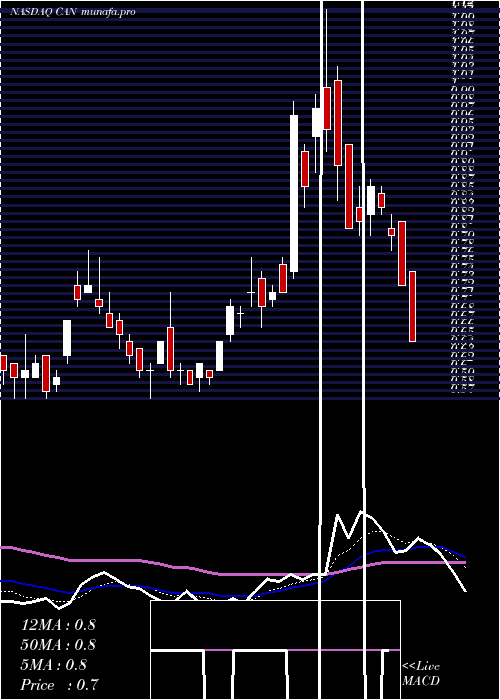  Daily chart CanaanInc