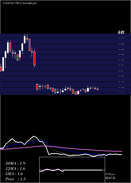  Daily chart CibusCorp