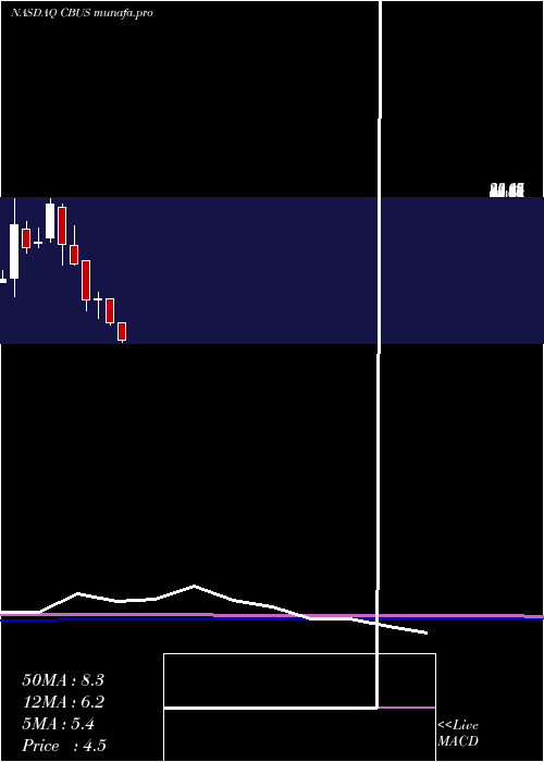  monthly chart CibusCorp