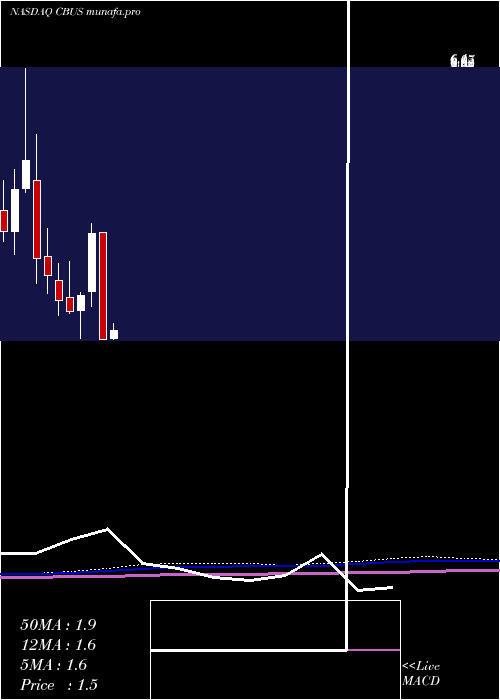 monthly chart CibusCorp