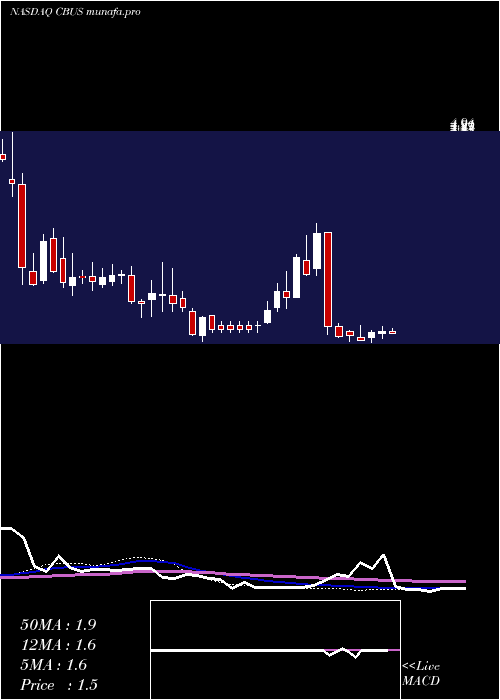 weekly chart CibusCorp